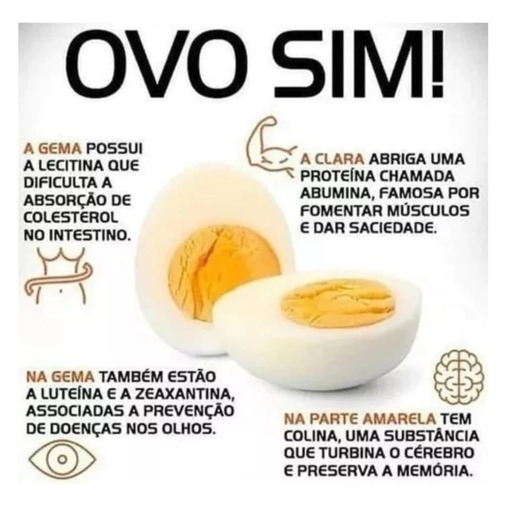 Cozedor De Ovos Portátil Elétrico Cozinha A Vapor 110v/220v - Miniatura